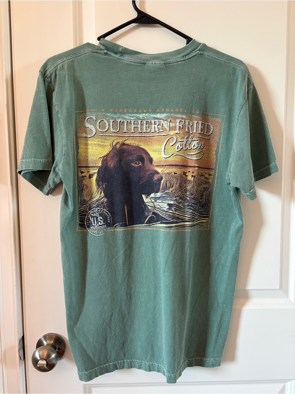 Southern Fried Cotton Men’s Short Sleeve Tee - Sage Green COMFORT COLORS
